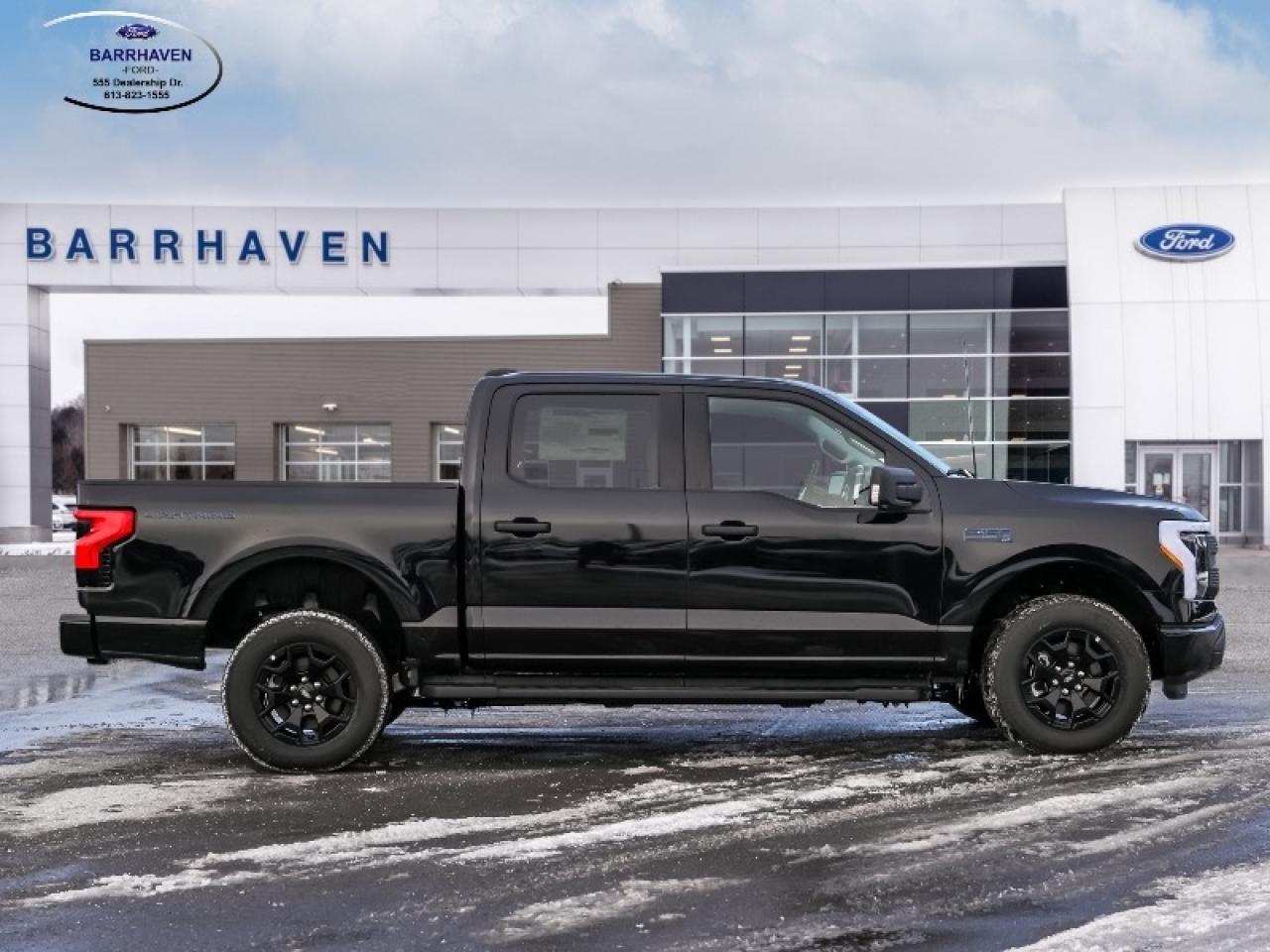 2025 Ford F-150 Lightning XLT Photo