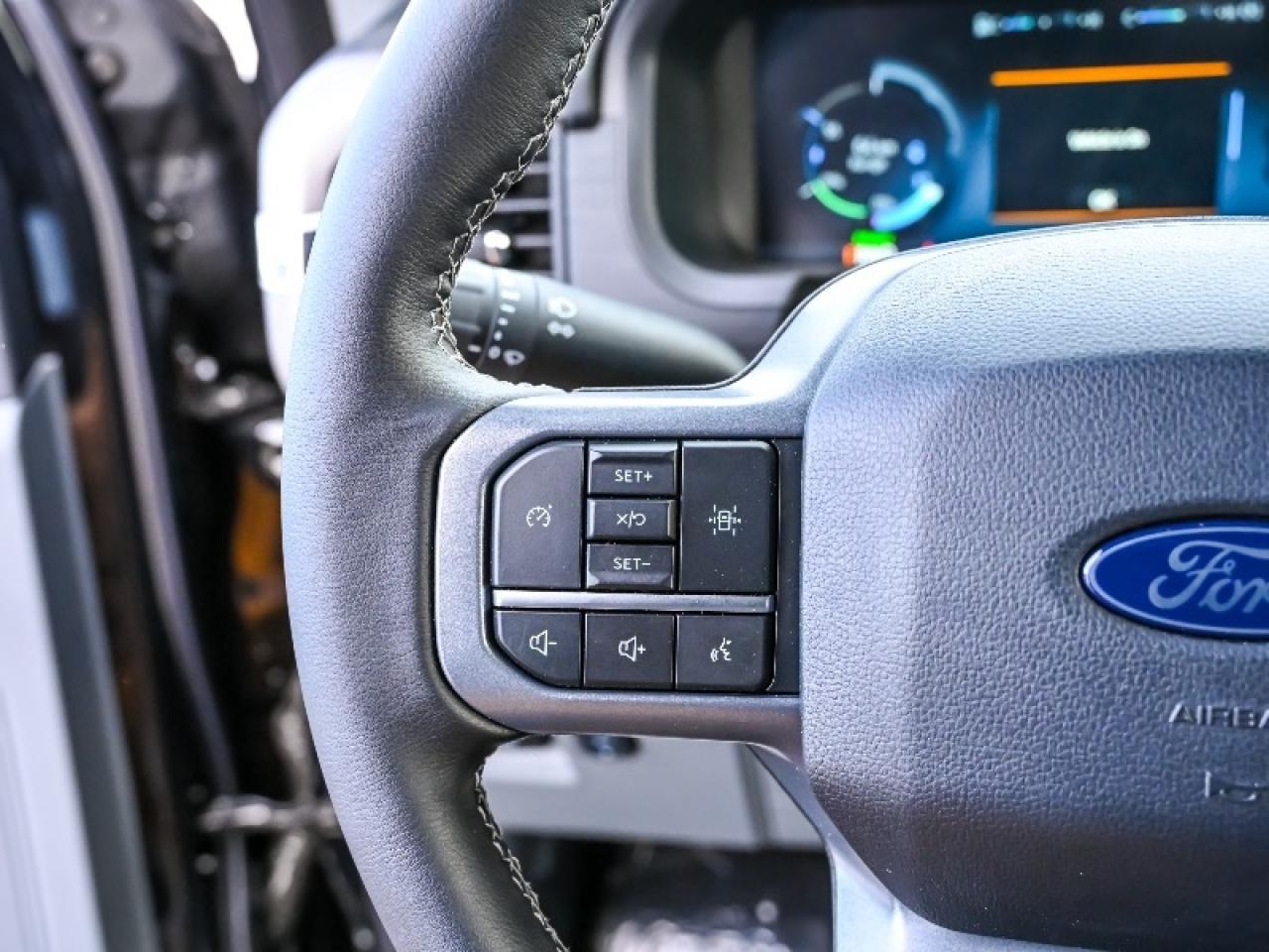 2025 Ford F-150 Lightning XLT Photo