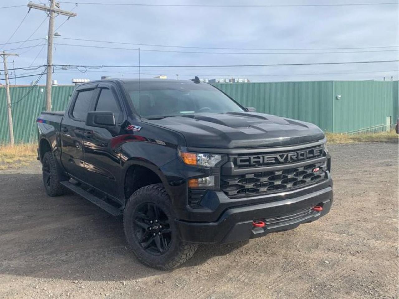 Used 2022 Chevrolet Silverado 1500 Custom Trail Boss Crew 4WD | Z71 | Trailering Pkg | CarPlay + Android | Rear Camera | and More ! for sale in Guelph, ON