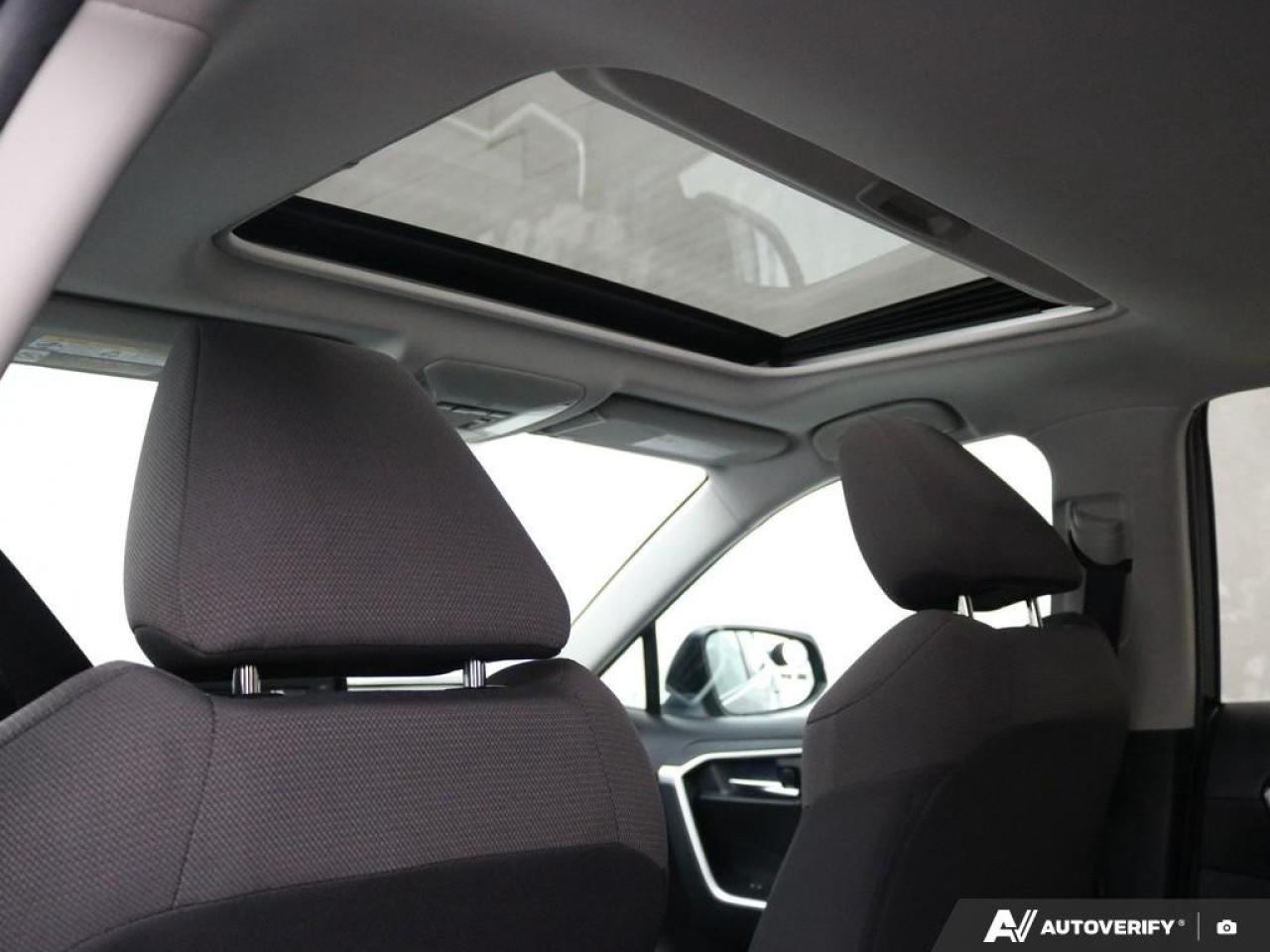 2020 Toyota RAV4 XLE Photo