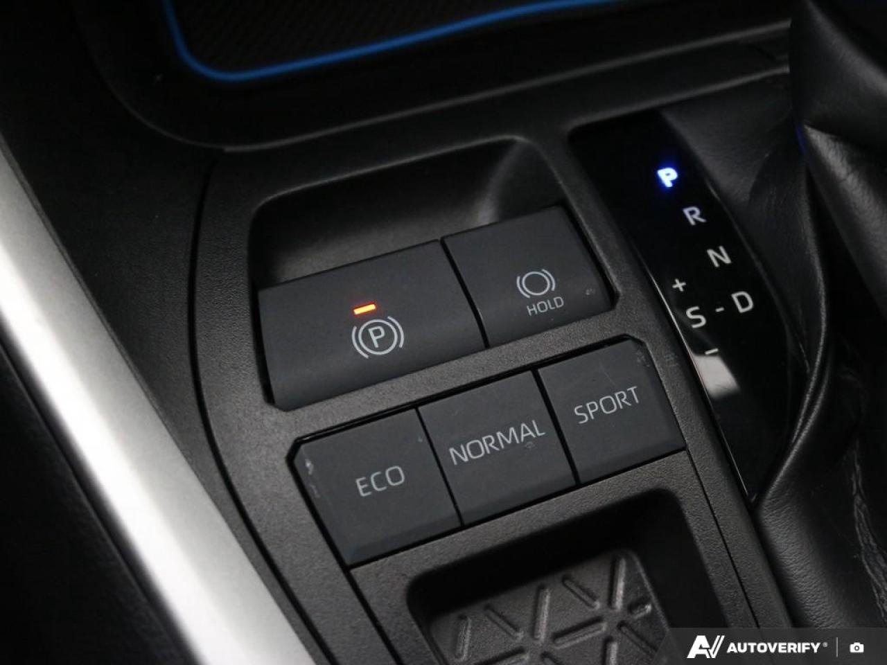 2020 Toyota RAV4 XLE Photo