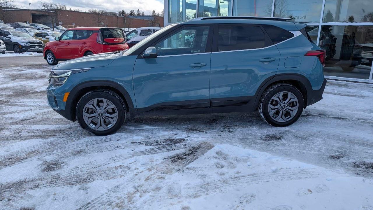 2024 Kia Seltos EX AWD Photo