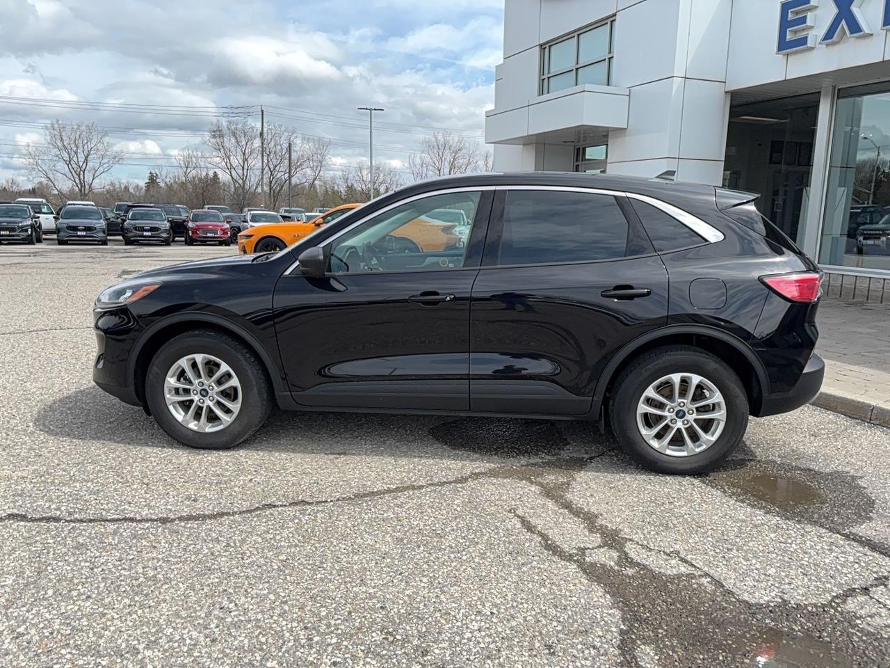 2022 Ford Escape SE, AWD, COLD WEATHER PACKAGE! POWER GATE! Photo