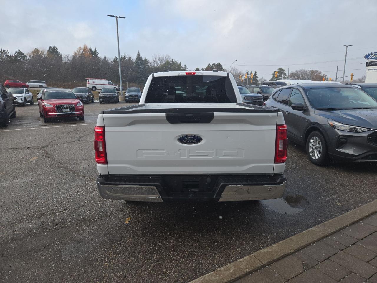 2023 Ford F-150 XLT, 4X2, 300A WITH 6.5' BOX! CLOTH, 6 PASSENGER! Photo