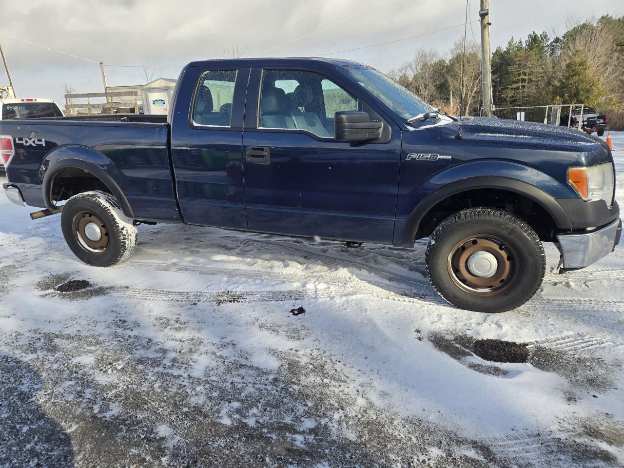 2013 Ford F-150 XL Photo