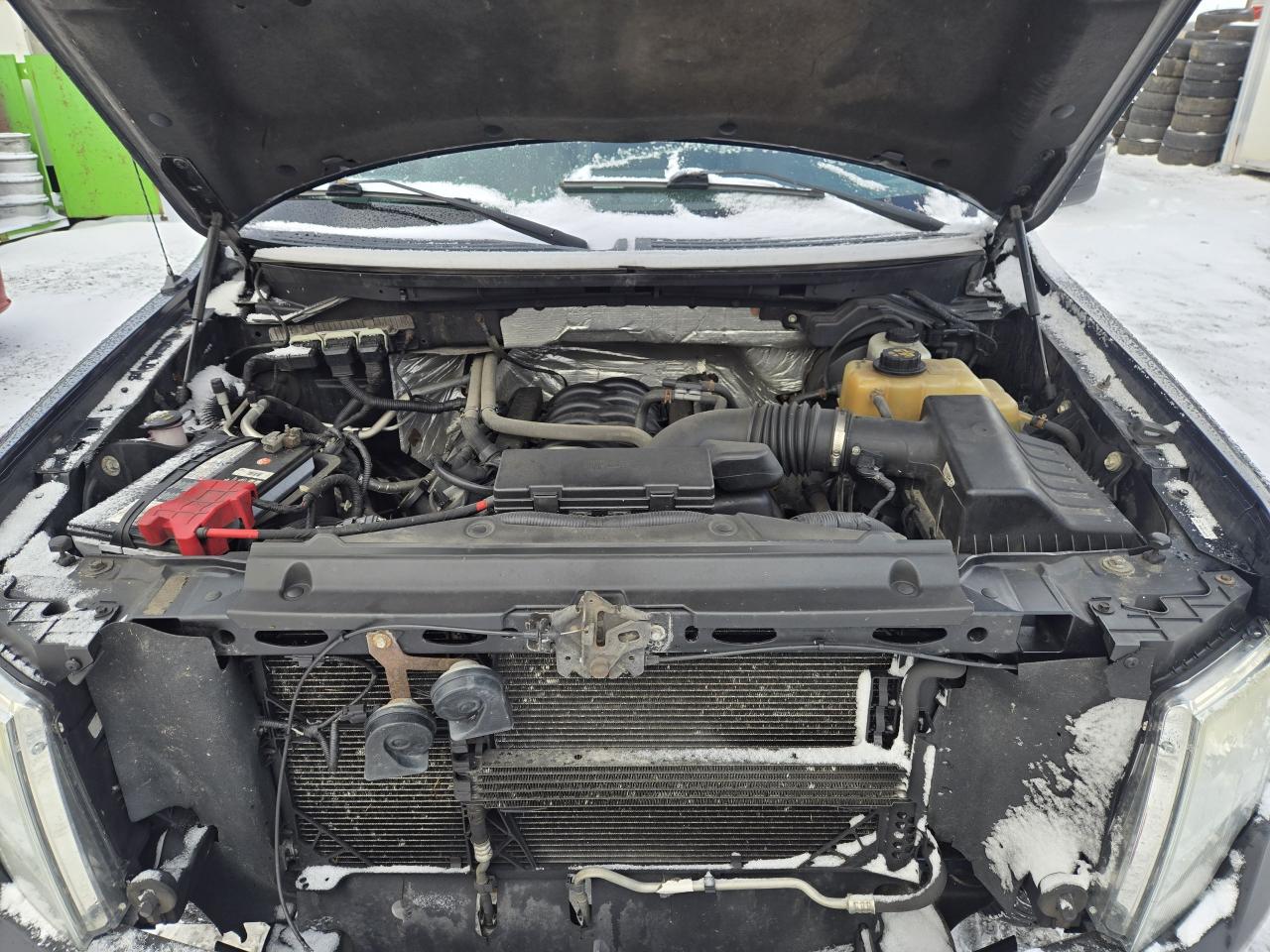 2013 Ford F-150 XL Photo