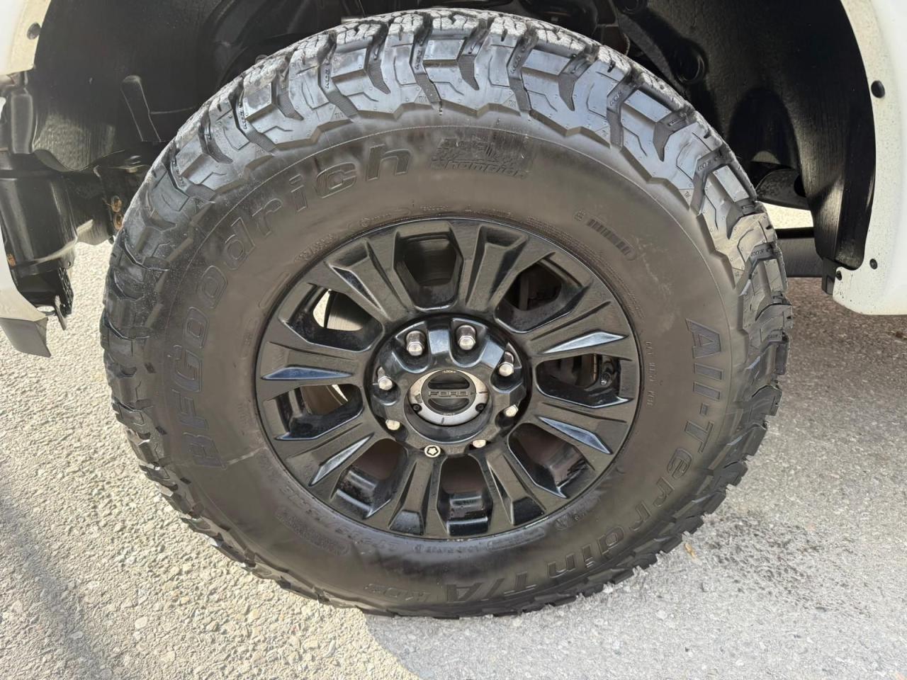 2022 Ford SUPER DUTY F-250 SRW Platinum TREMOR Photo4