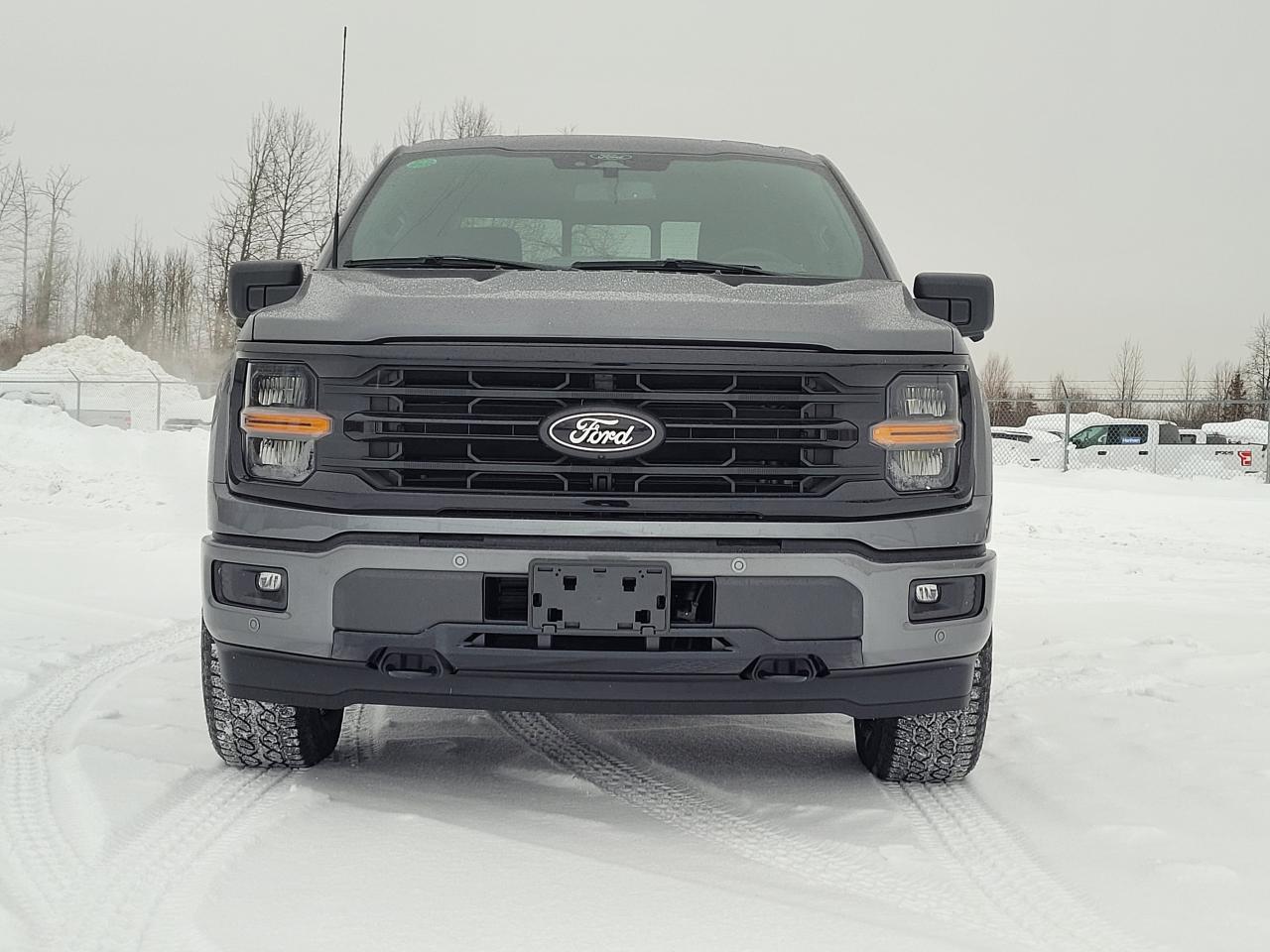 2025 Ford F-150 XLT Photo2