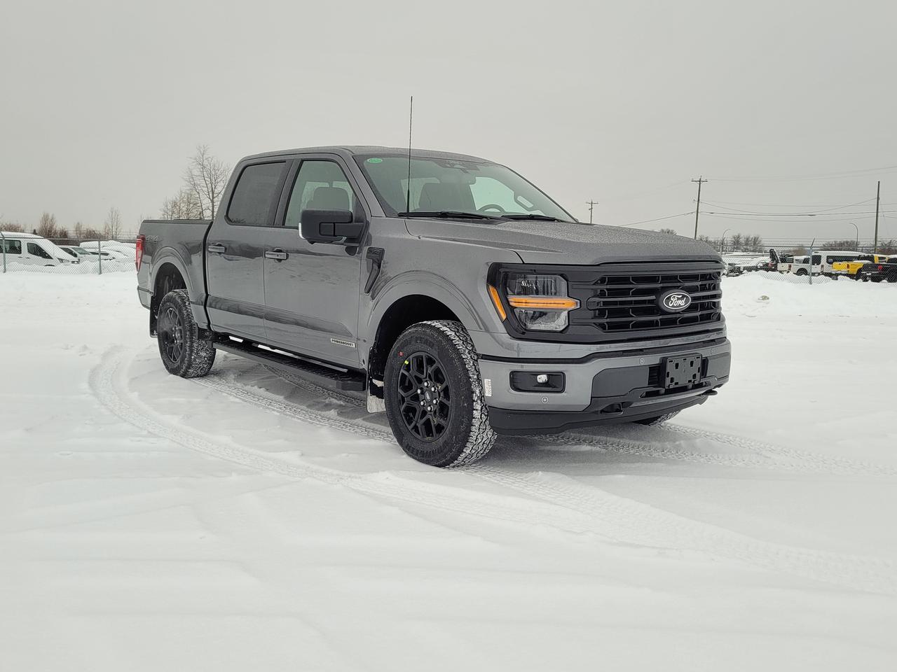 2025 Ford F-150 XLT Photo3
