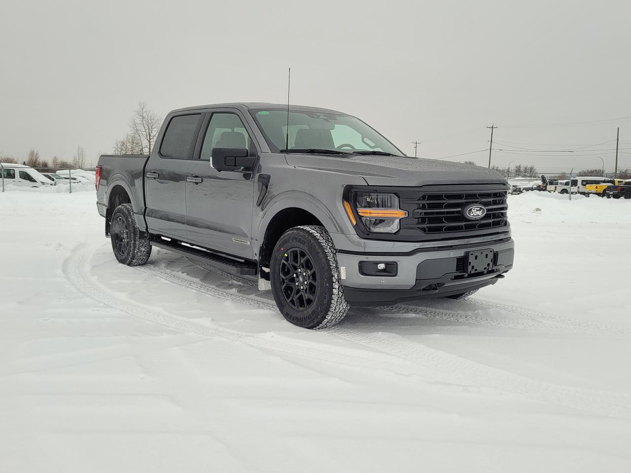 2025 Ford F-150 XLT Photo3