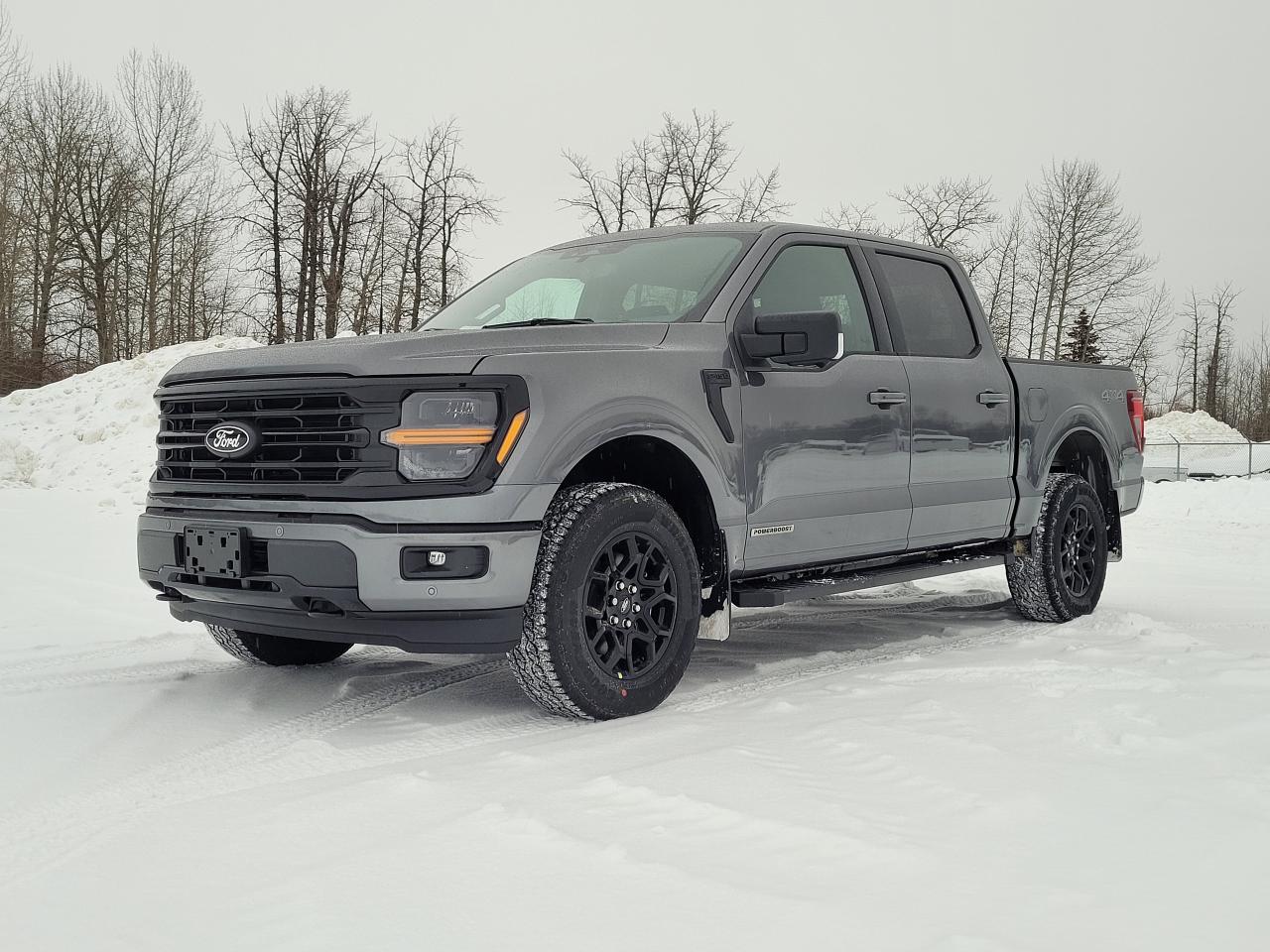 2025 Ford F-150 XLT Photo1