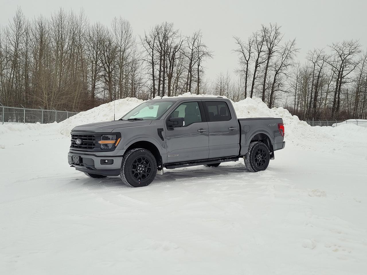 2025 Ford F-150 XLT Photo0