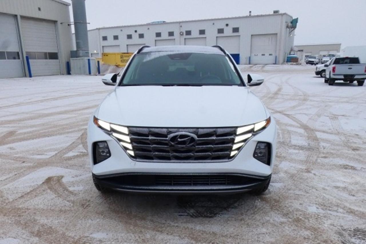 2024 Hyundai Tucson Trend AWD w/Htd Leather, pano S/R, NAV, BUC - Photo #3