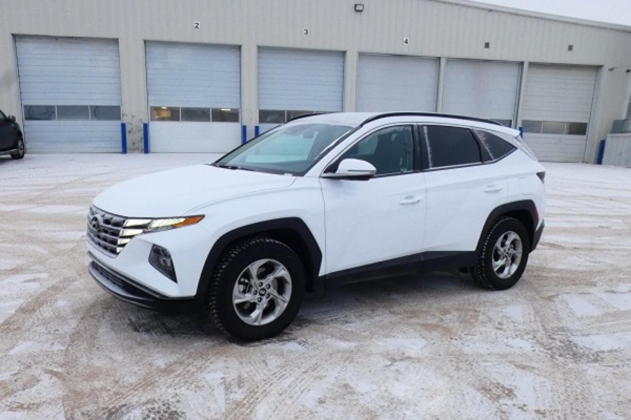 2024 Hyundai Tucson Trend AWD w/Htd Leather, pano S/R, NAV, BUC - Photo #2