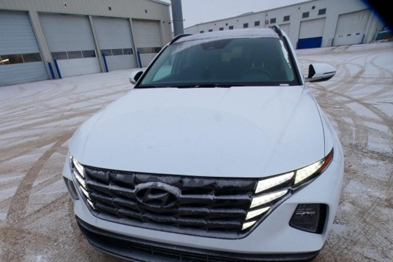 2024 Hyundai Tucson Trend AWD w/Htd Leather, pano S/R, NAV, BUC - Photo #26