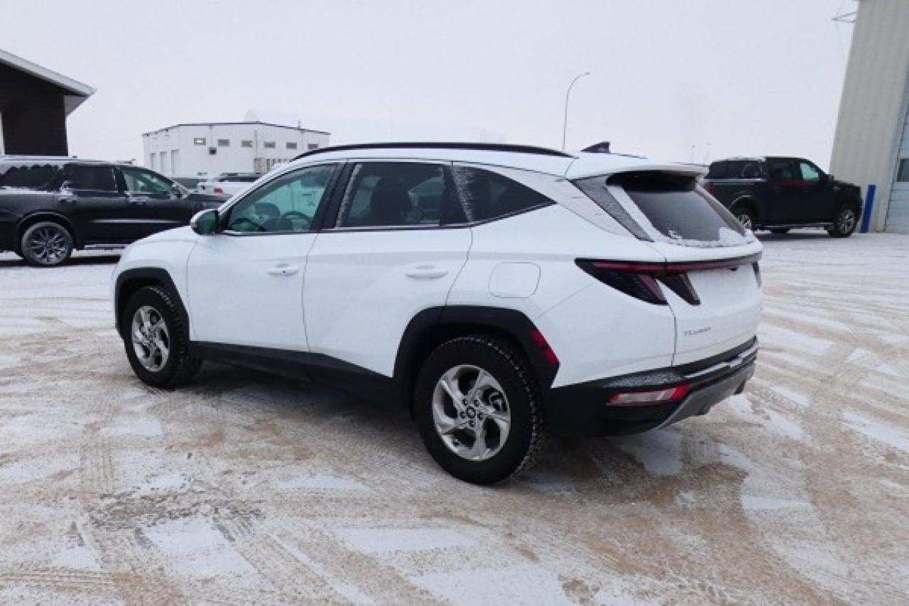 2024 Hyundai Tucson Trend AWD w/Htd Leather, pano S/R, NAV, BUC - Photo #8