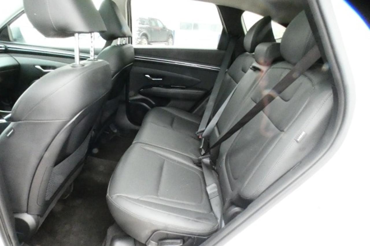 2024 Hyundai Tucson Trend AWD w/Htd Leather, pano S/R, NAV, BUC - Photo #10
