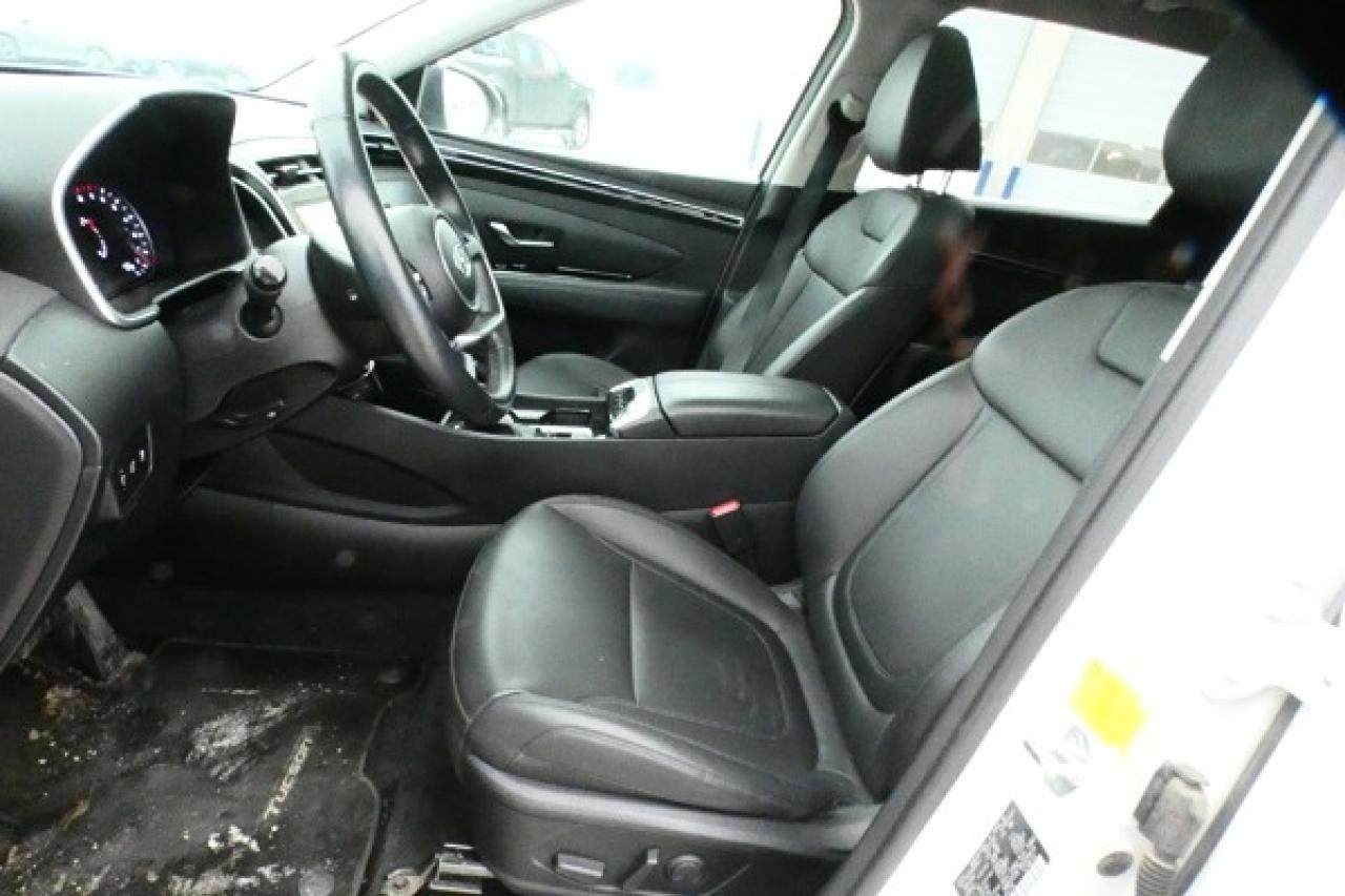 2024 Hyundai Tucson Trend AWD w/Htd Leather, pano S/R, NAV, BUC - Photo #11