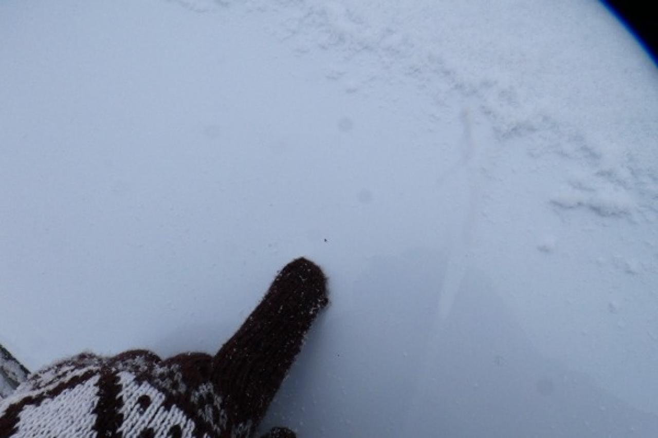 2024 Hyundai Tucson Trend AWD w/Htd Leather, pano S/R, NAV, BUC - Photo #24