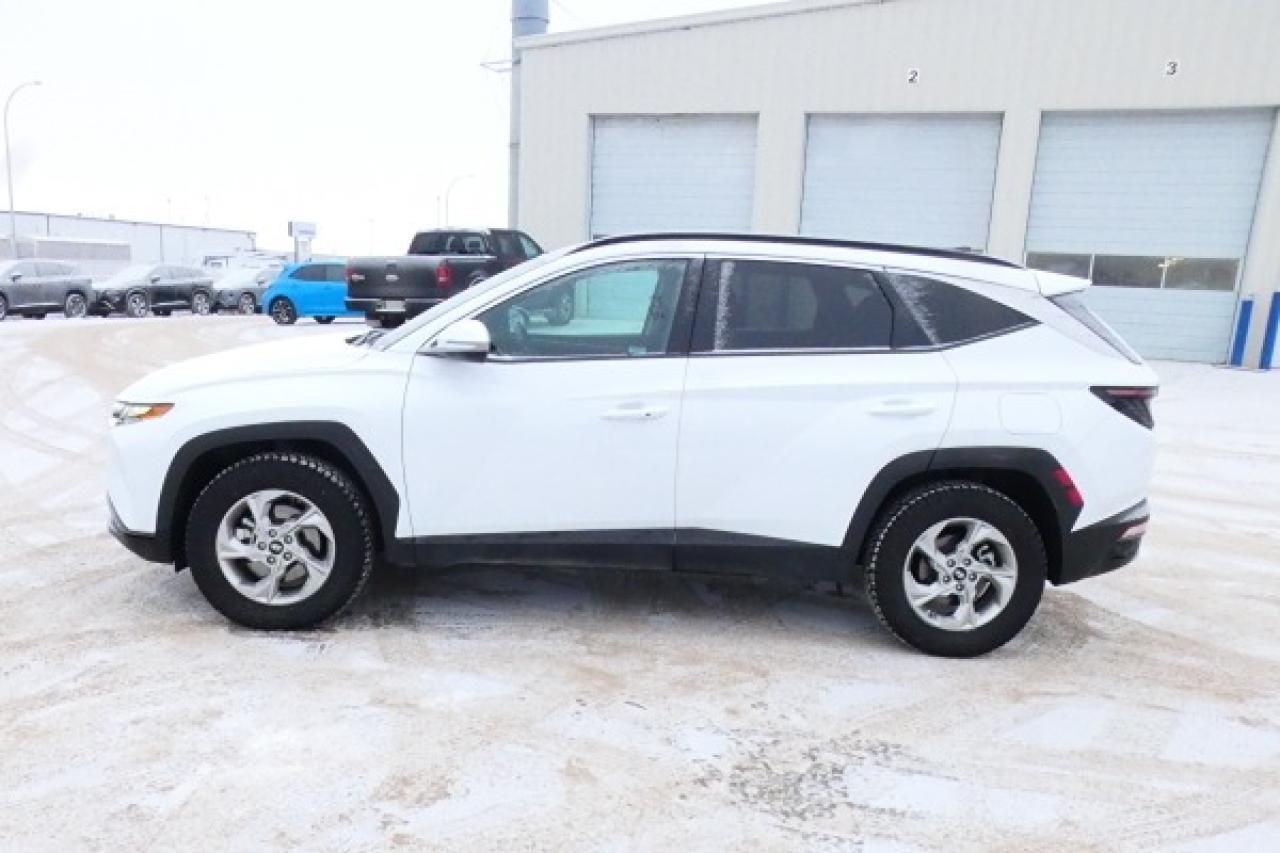 2024 Hyundai Tucson Trend AWD w/Htd Leather, pano S/R, NAV, BUC - Photo #1