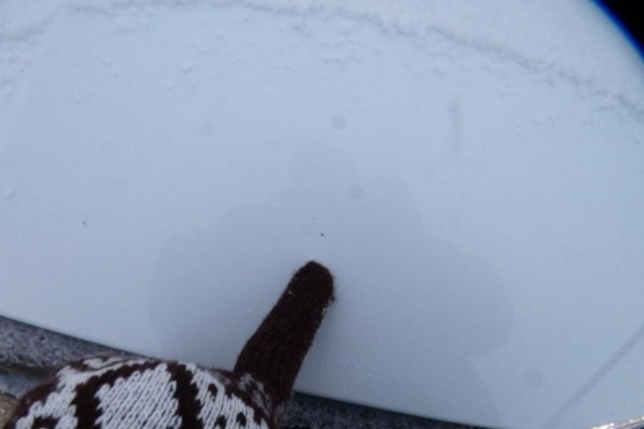 2024 Hyundai Tucson Trend AWD w/Htd Leather, pano S/R, NAV, BUC - Photo #29