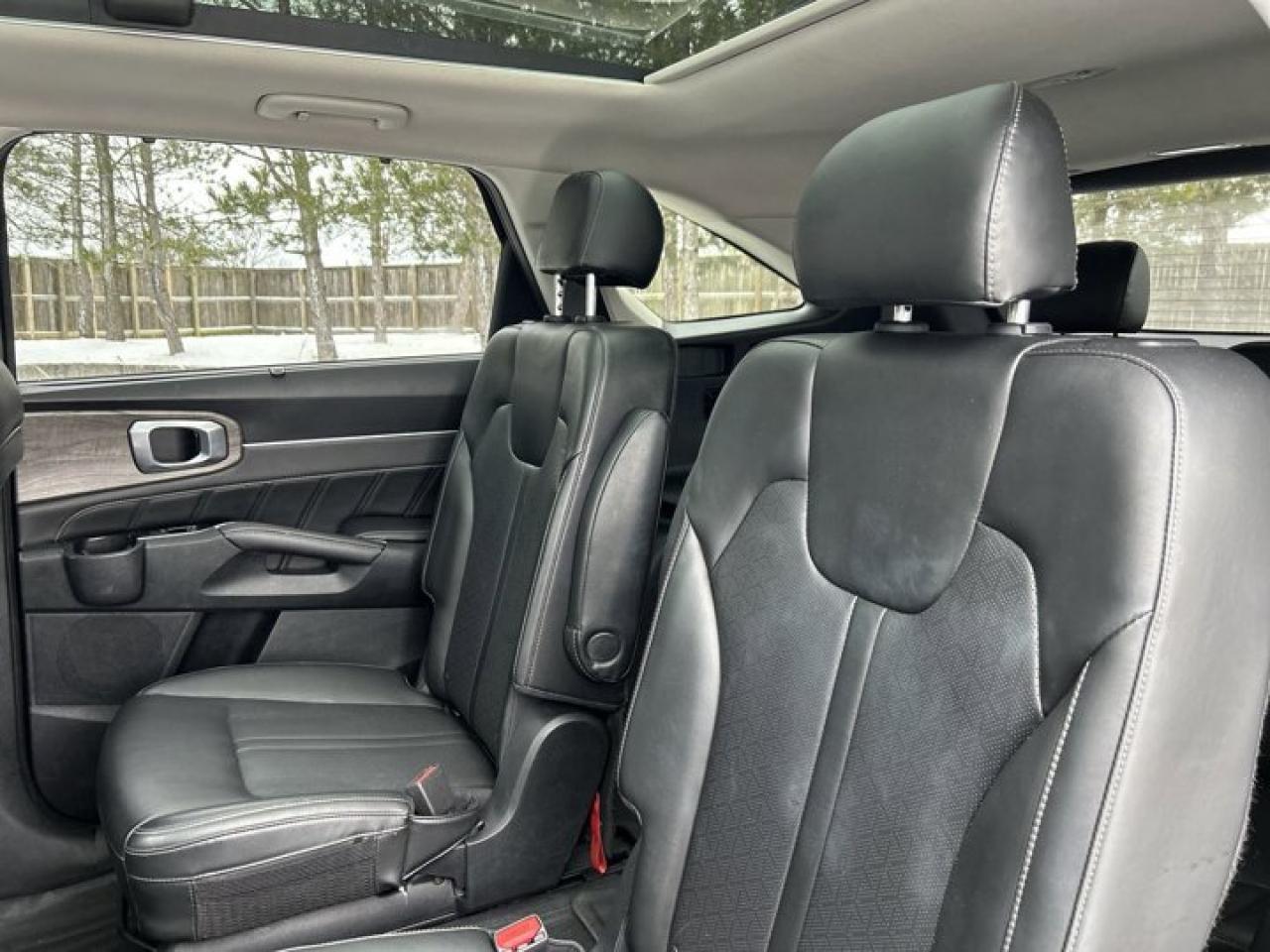 2021 Kia Sorento EX AWD | Panoramic Roof | Remote Start | Leather Seats Photo