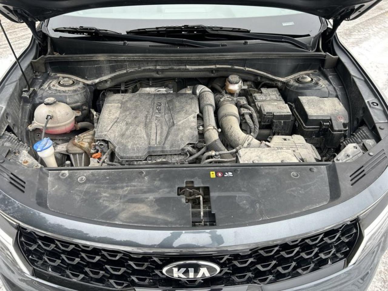 2021 Kia Sorento EX AWD | Panoramic Roof | Remote Start | Leather Seats Photo