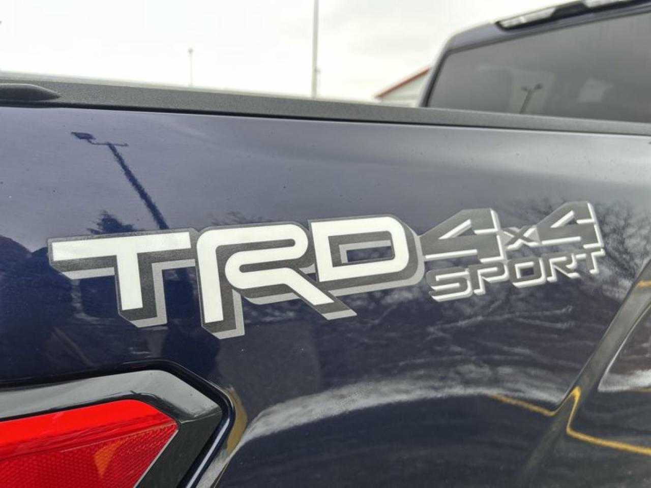 2023 Toyota Tundra SR5 4x4 CrewMax Photo