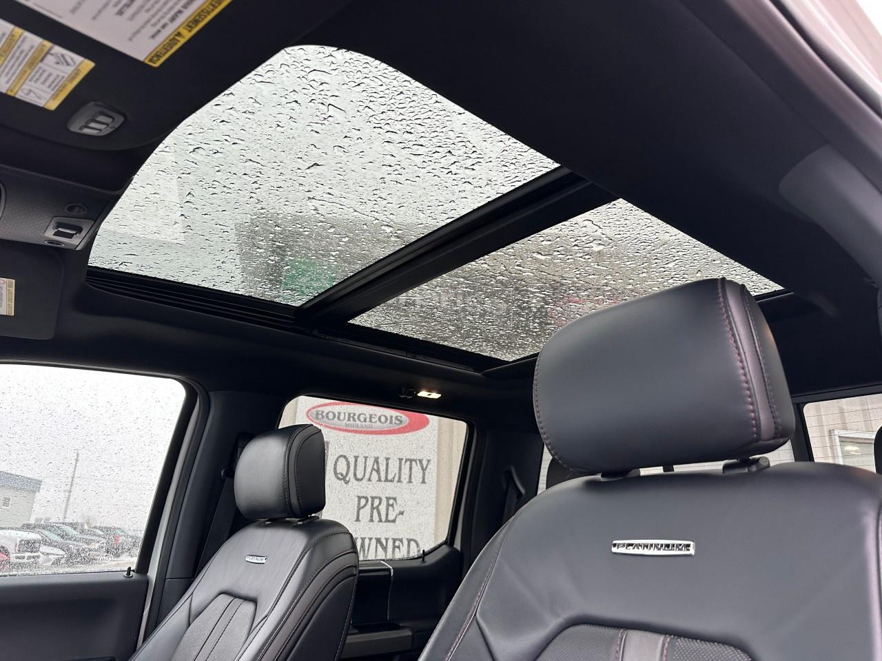 2022 Ford F-250 Super Duty SRW PLATINUM 4WD CREW CAB 6.75' BOX Photo