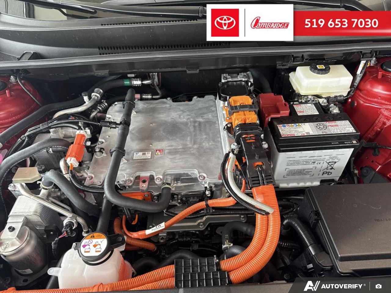 2026 Toyota bZ XLE Photo