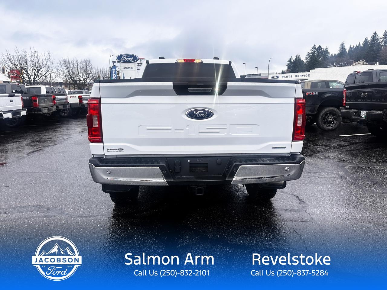 2023 Ford F-150 XLT Photo3