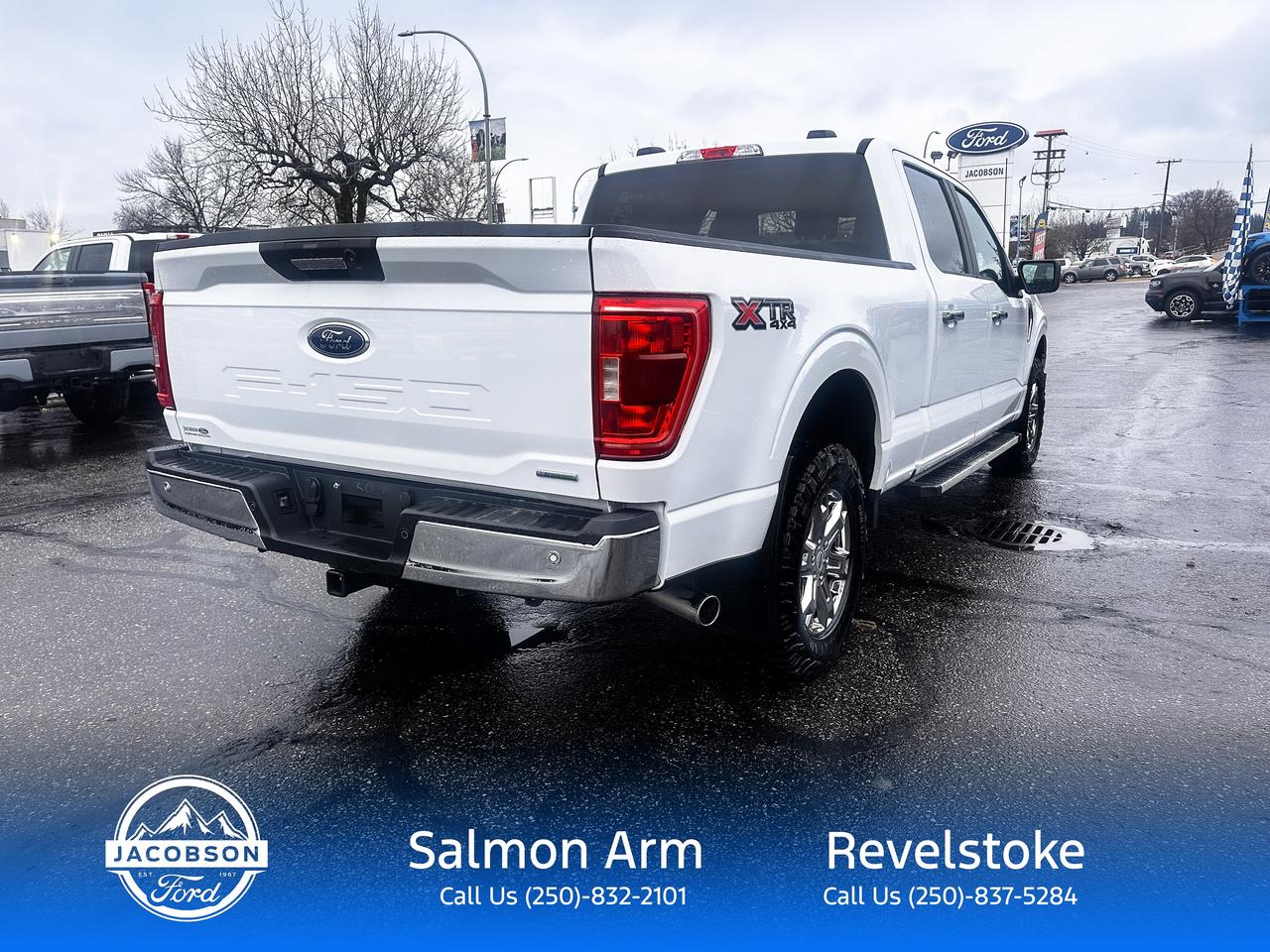 2023 Ford F-150 XLT Photo4