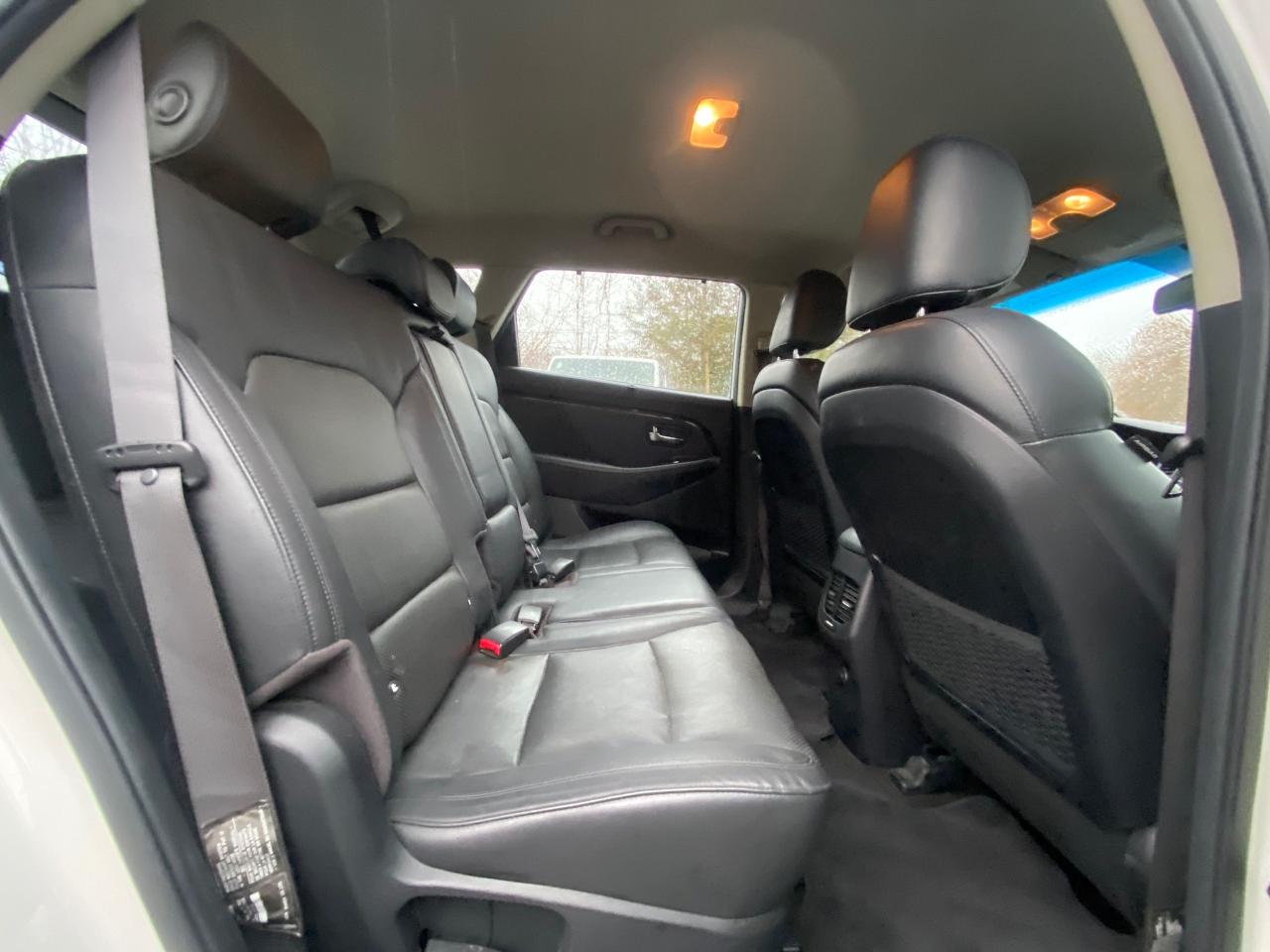 2015 Kia Rondo EX LUXURY - Photo #10