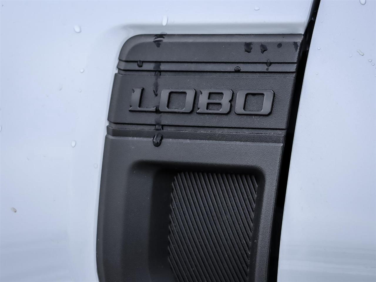 2026 Ford Maverick LOBO HIGH Photo