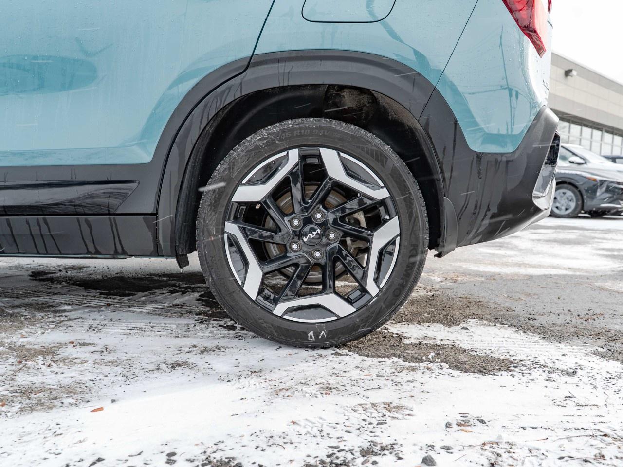 2024 Kia Seltos  Photo