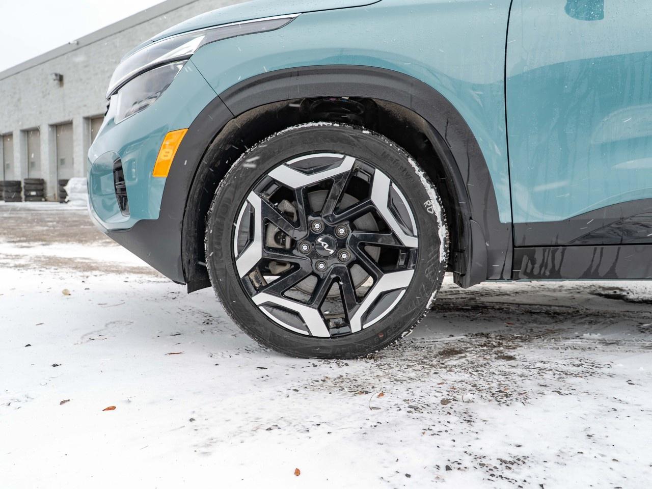 2024 Kia Seltos  Photo