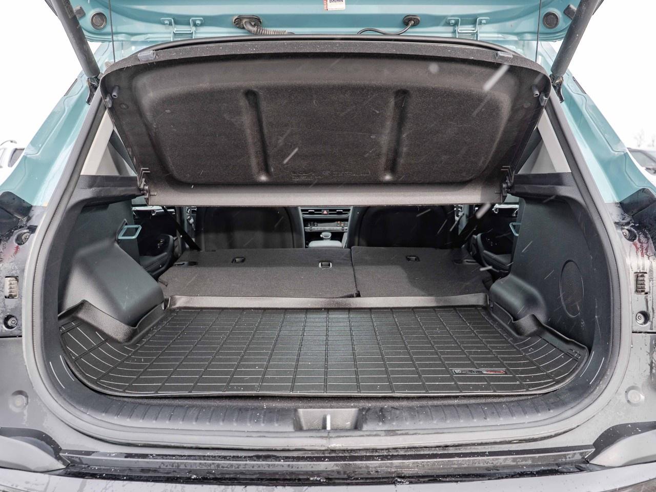 2024 Kia Seltos  Photo