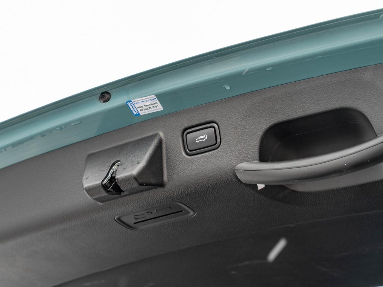 2024 Kia Seltos  Photo