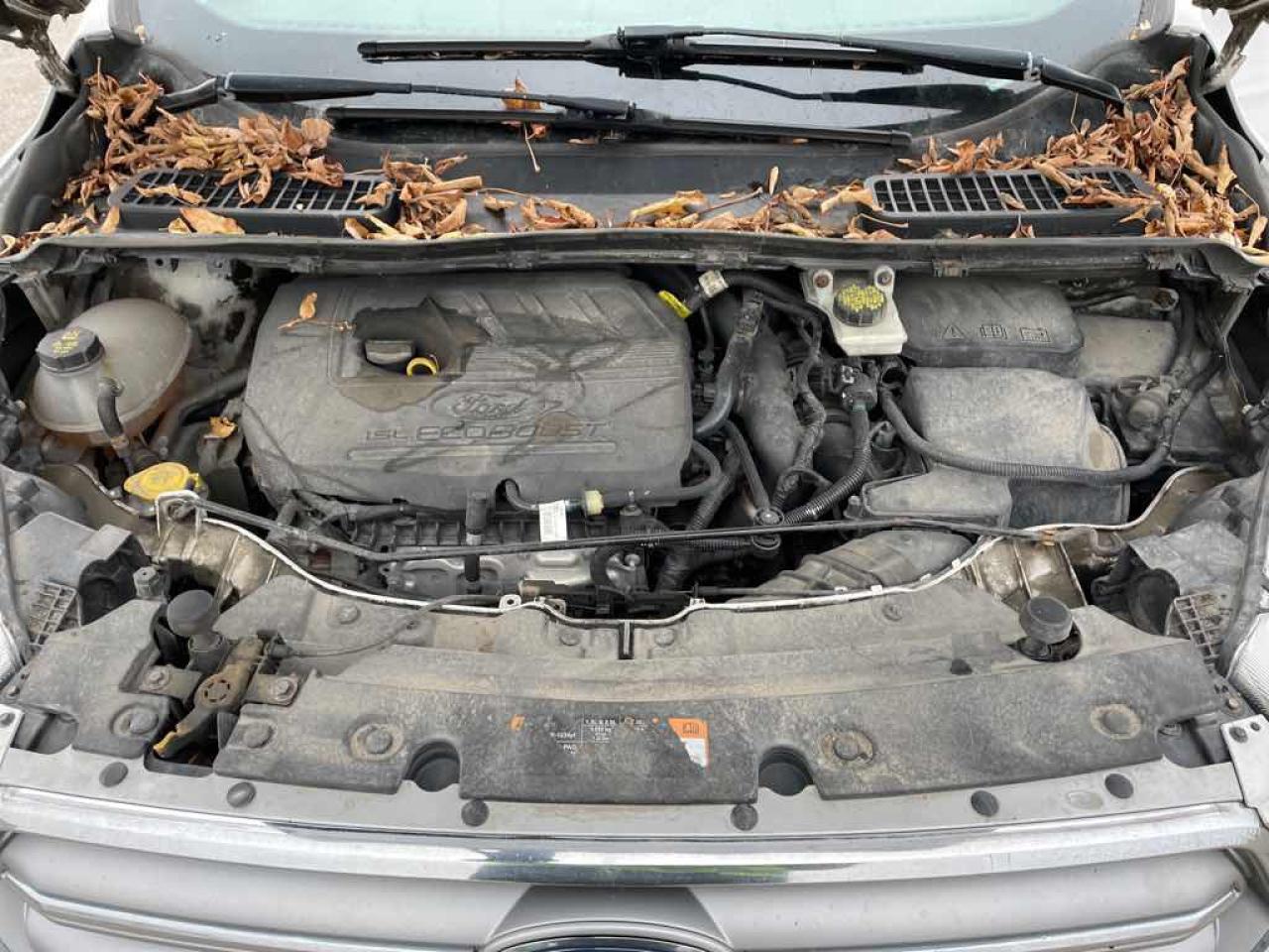 2017 Ford Escape SE - Photo #7