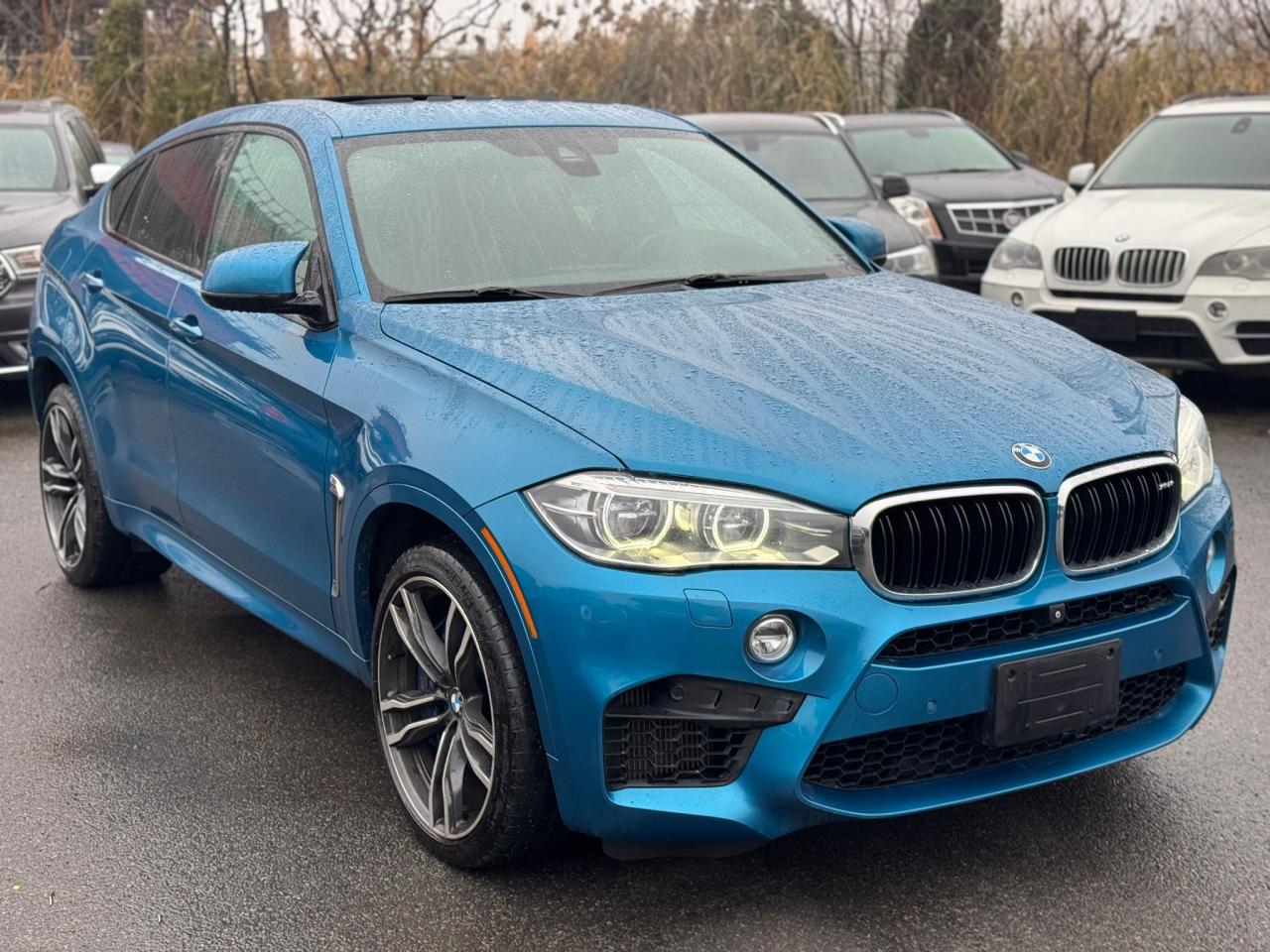 2015 BMW X6 M  - Photo #3