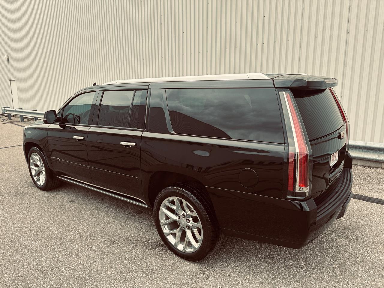 2020 Cadillac Escalade ESV PLATINUM Photo3