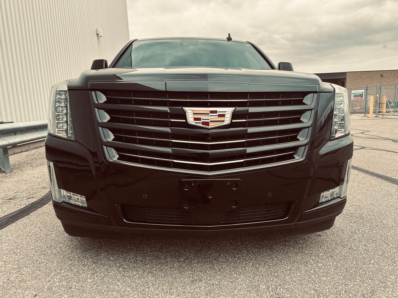 2020 Cadillac Escalade ESV PLATINUM Photo2