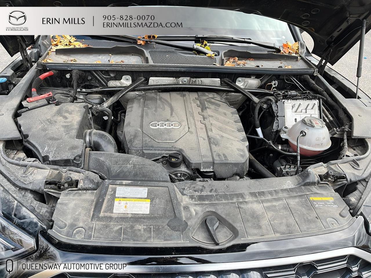 2021 Audi Q5 45 Progressiv quattro quattro Photo