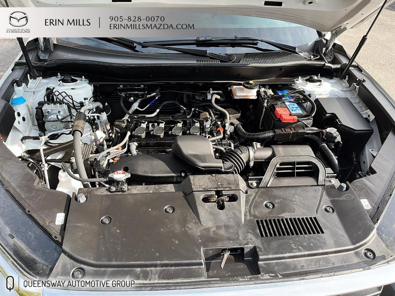 2025 Honda CR-V LX Photo