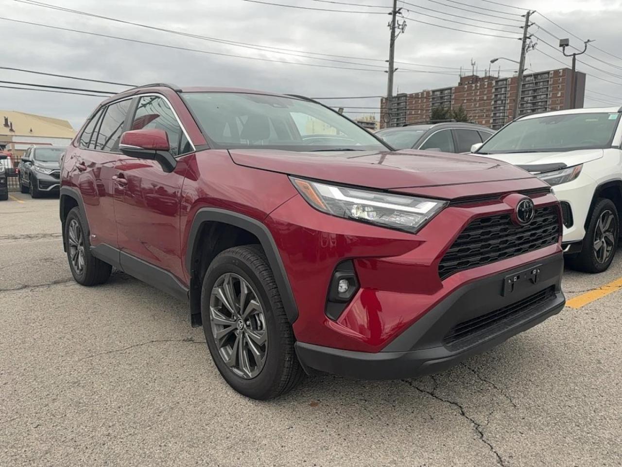 2025 Toyota RAV4 Hybrid XLE AWD Brand New Condition! Photo
