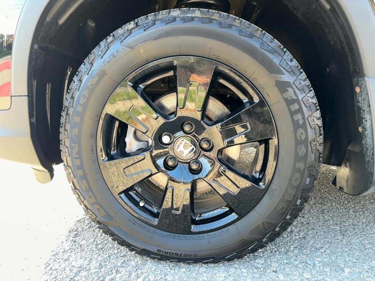 2022 Honda Pilot TrailSport Photo