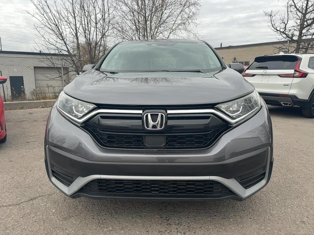 2020 Honda CR-V LX Photo
