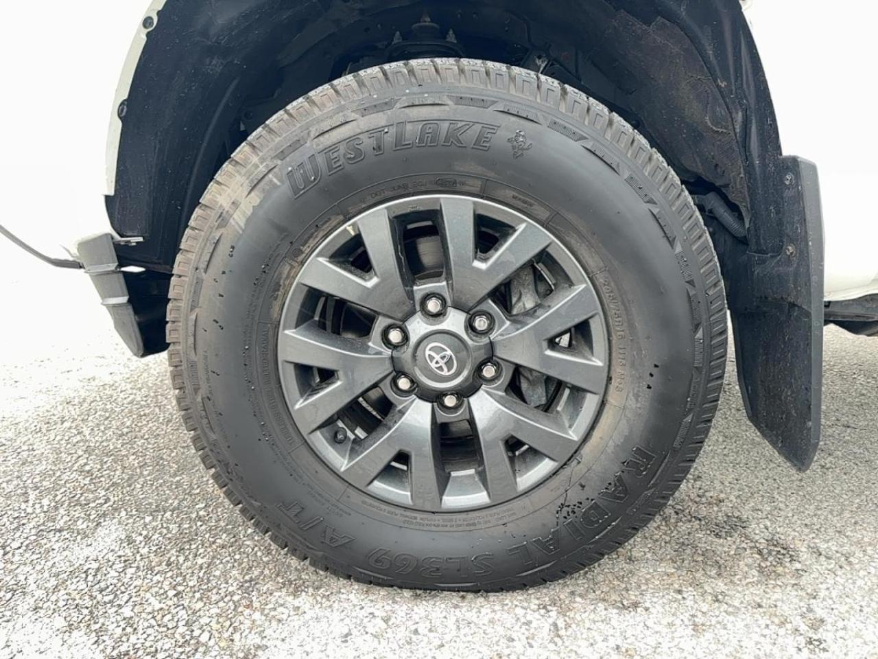 2023 Toyota Tacoma Base SR5 V6 Double Cab LB 4WD Photo