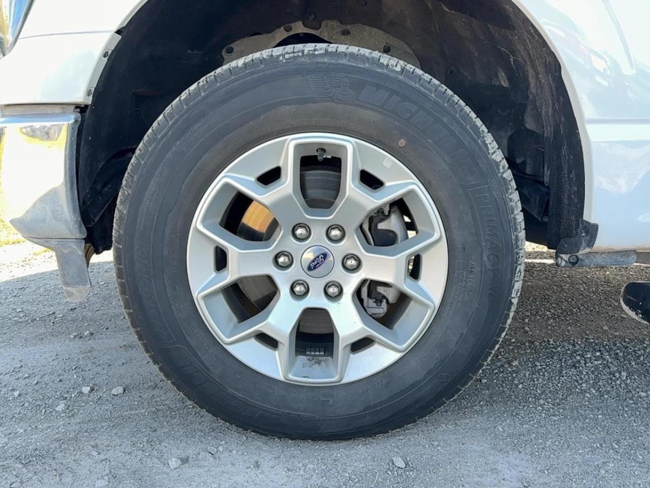 2023 Ford F-150 XLT Photo