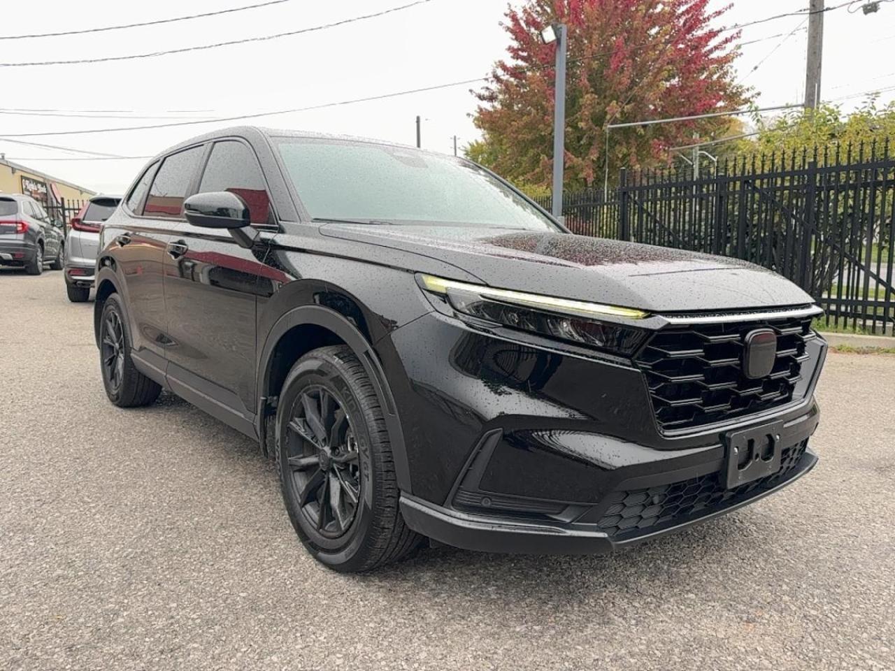 2024 Honda CR-V Ex-L Honda Certified 7YR/160K Warranty Photo